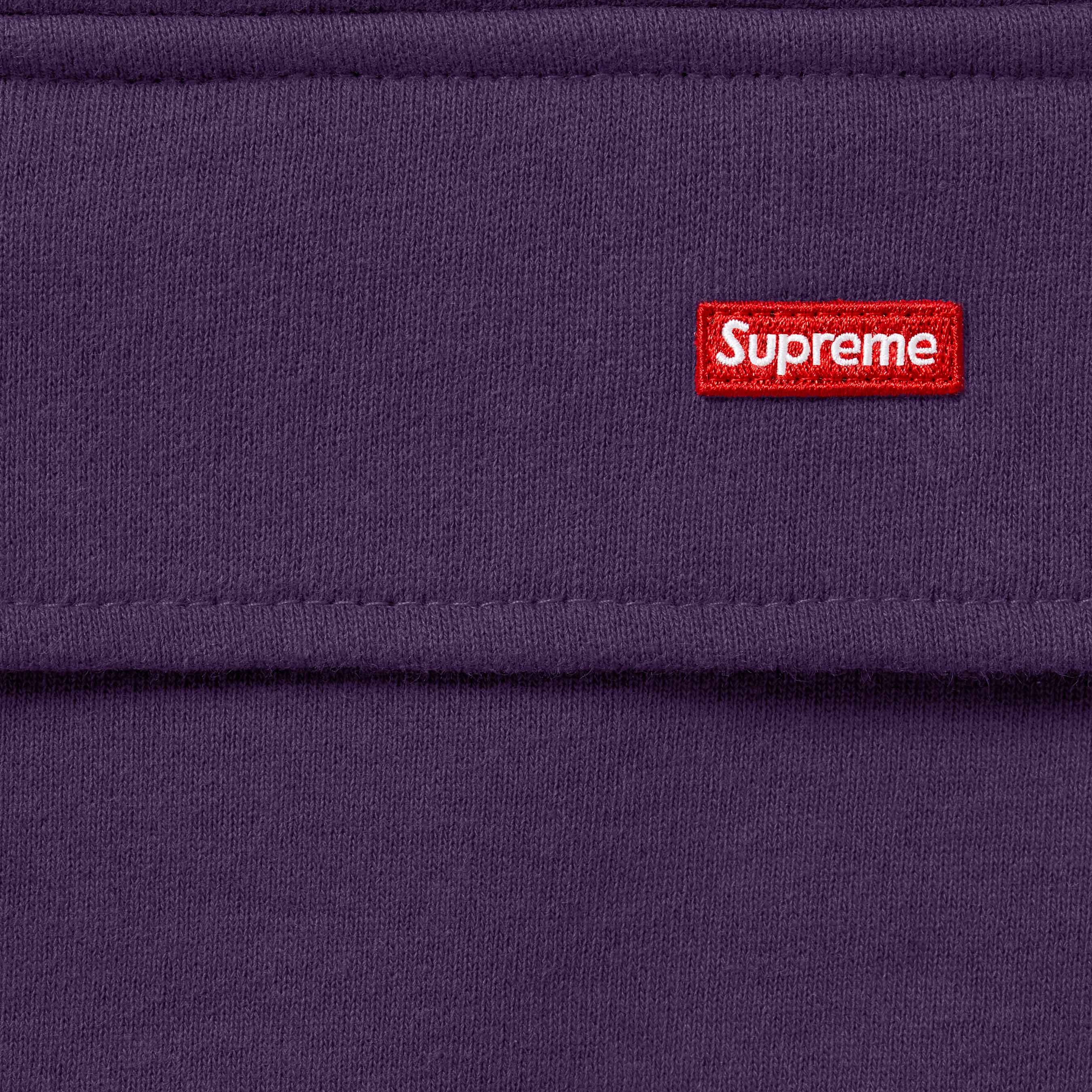 Small Box Cargo Sweatpant view 16